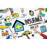 image of Web of Insurance