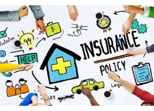 product image for Web of Insurance